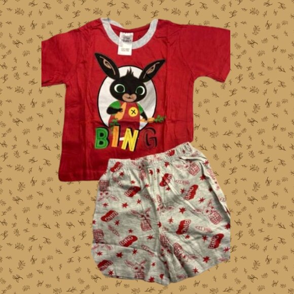Bing Bunny Kids T-shirt and Shorts Set – Cartoon Character Summer Outfit NWT - Picture 5 of 5